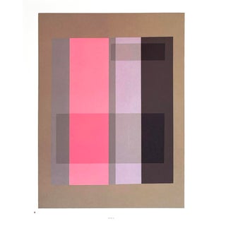 2009 Josef Albers the Interaction of Color Plate Xvii-2 For Sale