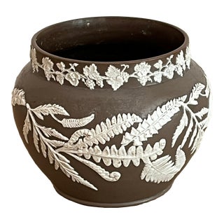 Late 19th Century English Jasperware Pot With Ferns For Sale