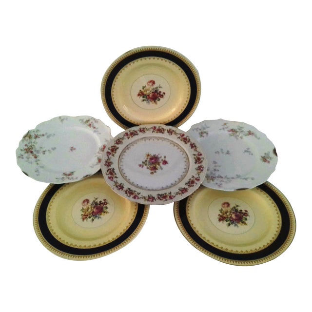 Vintage Matched Victorian Design Floral Porcelain Dinner Plates, Set of 6 For Sale