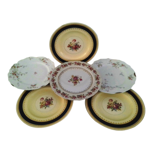 Vintage Matched Victorian Design Floral Porcelain Dinner Plates, Set of 6