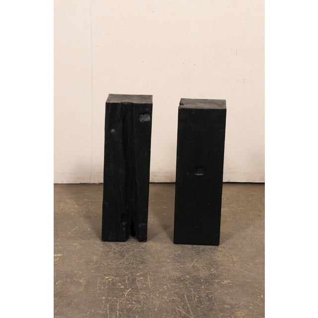 19th Century 19th Century Indonesian Carbonized Ironwood Pedestals – A Pair For Sale - Image 5 of 12