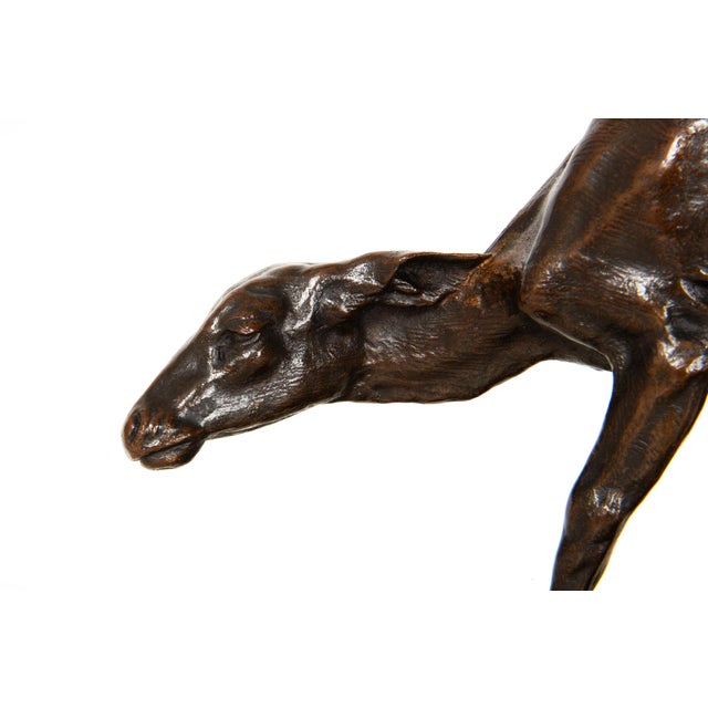 Metal Fine American West Bronze Sculpture “Fawn” by Alexander Phimister Proctor For Sale - Image 7 of 12