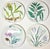 Asian Botanical Plates- Set of Four For Sale - Image 12 of 12