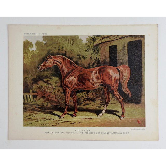 English Late 19th Century British Race Horse Eclipse Chromolithograph For Sale - Image 3 of 3