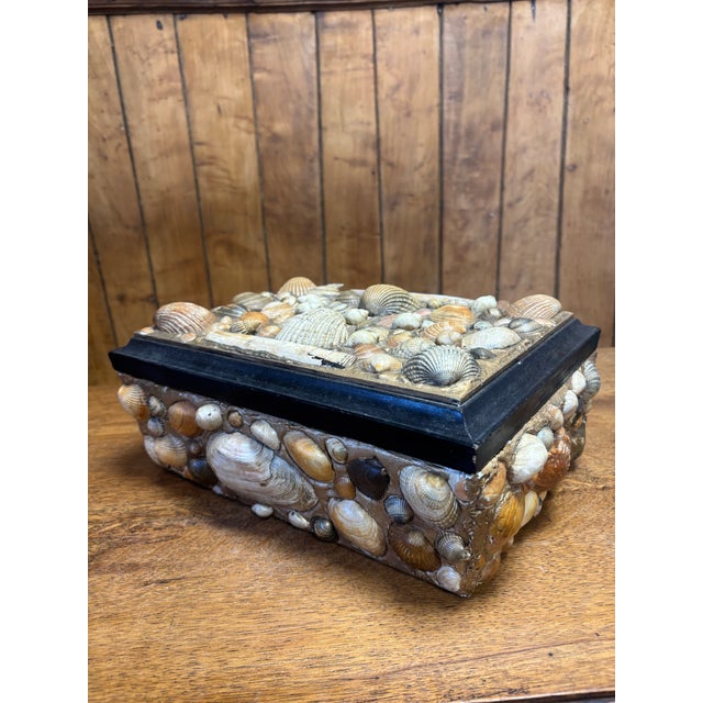 Vintage English Seashell Box For Sale In Naples, FL - Image 6 of 7