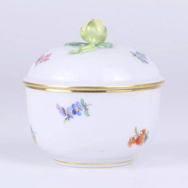 Sugar Bowl from Meissen For Sale - Image 4 of 5