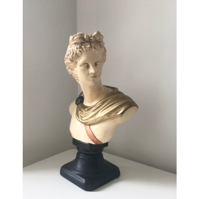 Painted Greek Figurine Apollo Bust For Sale - Image 10 of 10