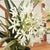 Early 21st Century Agapanthus Drop-In 29" For Sale - Image 5 of 5