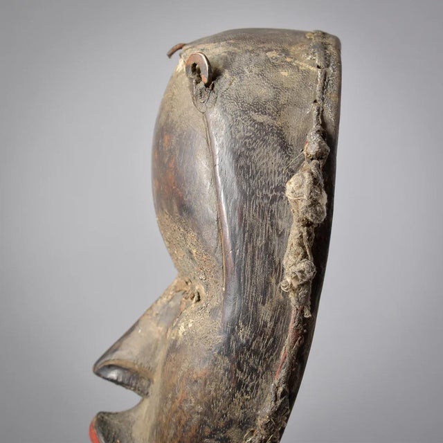 Early 20th Century Early 20th Century Dan Poro Ceremonial Mask With Bell For Sale - Image 5 of 12