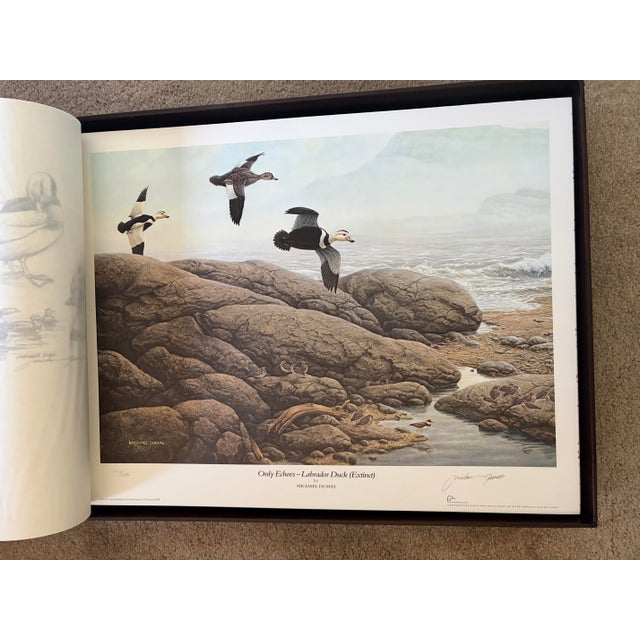 American Waterfowl of North America Book For Sale - Image 3 of 12