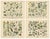 German Wildflower Botanical Plates, Chromolithographs, Stuttgart circa 1890 : A refined and visually rich set of four...