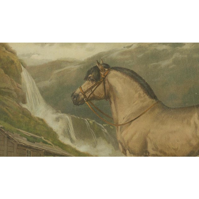 After Eerelman, Norwegian Horse, 1898, Lithograph For Sale - Image 4 of 10
