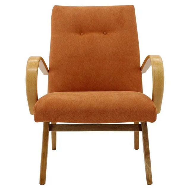Beech Armchair, Czechoslovakia, 1960s For Sale - Image 9 of 9