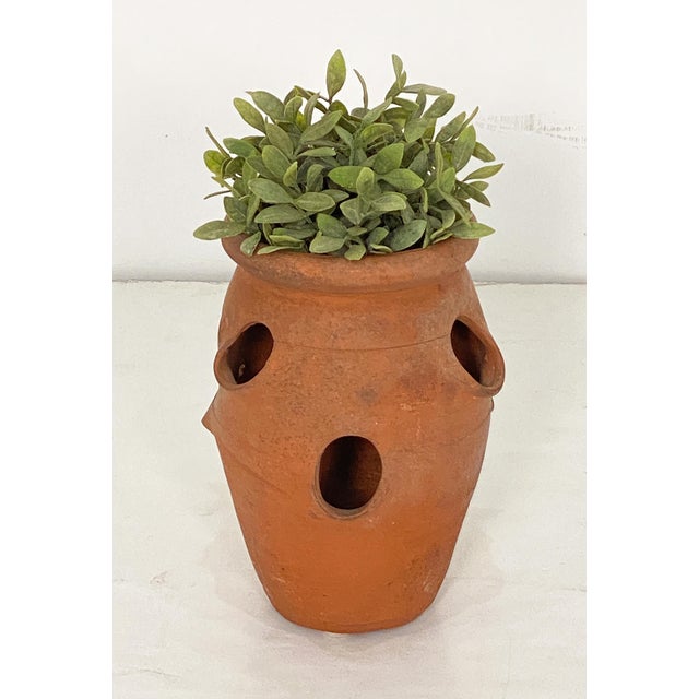 Ceramic Small English Garden Planter Pot or Urn of Terracotta for Strawberries For Sale - Image 7 of 7
