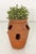 Ceramic Small English Garden Planter Pot or Urn of Terracotta for Strawberries For Sale - Image 7 of 7