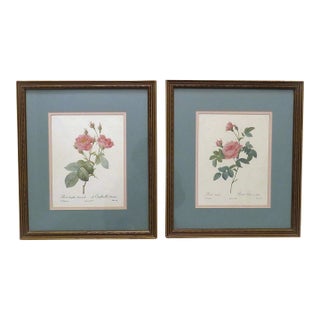 Pair of P. J. Redoute French Botanical Still Life Roses Framed Prints For Sale