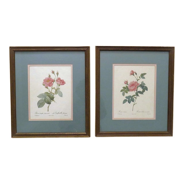 Pair of P. J. Redoute French Botanical Still Life Roses Framed Prints For Sale