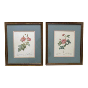 Pair of P. J. Redoute French Botanical Still Life Roses Framed Prints