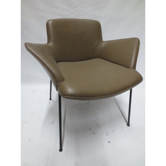 Brown Walter Knoll Burgaz Armchair (New) For Sale - Image 8 of 9
