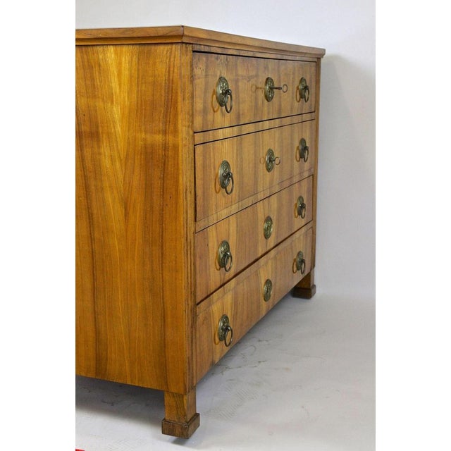 Antique Biedermeier Chest of Drawers, Austria, 1830 For Sale - Image 17 of 18