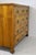 Antique Biedermeier Chest of Drawers, Austria, 1830 For Sale - Image 17 of 18