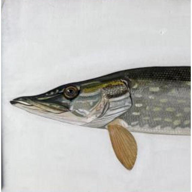 Contemporary Late 20th Century Douglas Tibbitts (New Hampshire, Contemporary), Northern Pike., Acrylic on Paper For Sale - Image 3 of 5