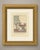 This is an original antique copper engraving with hand coloring, numbered "n°. 24" above the image and titled in dutch...