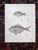 Antique 19th Century Hand Colored American Fish Lithographs - Set of 3 For Sale - Image 4 of 5