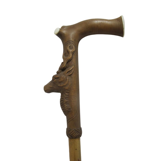 Brown Deer Stag Head Carved Wood Handle Vintage Walking Stick Cane For Sale - Image 8 of 12
