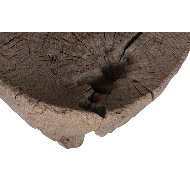 Organic Form Trunk Chair For Sale In Dallas - Image 6 of 8