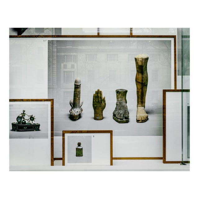 Guy Sargent, Anatomy, Archival Pigment Print For Sale