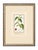 A beautifully curated set of four early 19th-century French botanical engravings—professionally framed and ready to create...