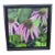 Purple Cornflower by Kathleen Varadi, 2021 Acrylic on Canvas, Framed For Sale