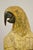 Large 46" Vintage Mid Century Carved Wood Perched Parrot Bird Statue Sculpture For Sale - Image 4 of 11
