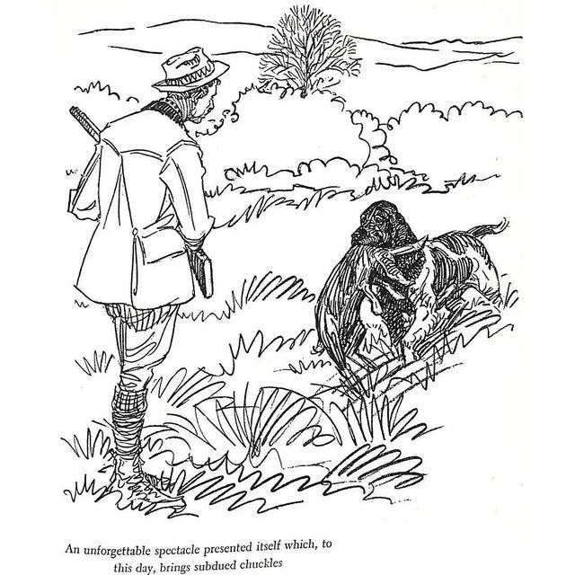 1946 "Fur or Feather: Days With Dog and Gun" Lawrence B. (Lon) Smith For Sale - Image 13 of 15