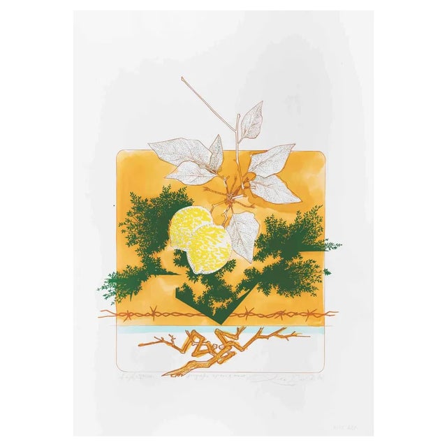 Leo Guida, Still Life, 1976, Etching For Sale