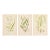 Nordic Grass Studies | Antique Swedish Botanical Prints, Set of 3 Chromolithographs For Sale