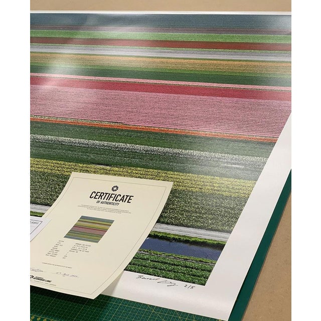 Contemporary Bernhard Lang, av_tulip_fields_014 Size A, Limited Edition Fine Art Photograph Print For Sale - Image 3 of 11