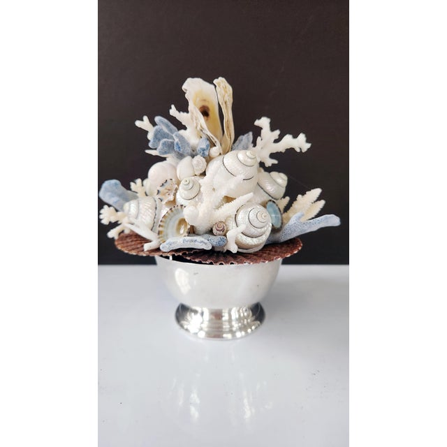 Handmade Coastal Seashell Sculpture – Seashell & Blue Ridge Coral Arrangement For Sale - Image 11 of 15
