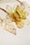 1960s Golden Wall Lamps with Daffodil Flowers Made of Murano Glass, 1960s, Set of 2 For Sale - Image 5 of 12