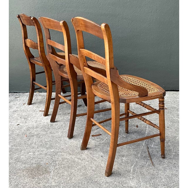 Sienna Vintage Collection of Cane Seat Chairs - Set of 3 For Sale - Image 8 of 12