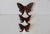 Vintage-style butterfly wall hangings feature intricate cut-out wing designs. Fabulous decorative wall art. Color is brick...