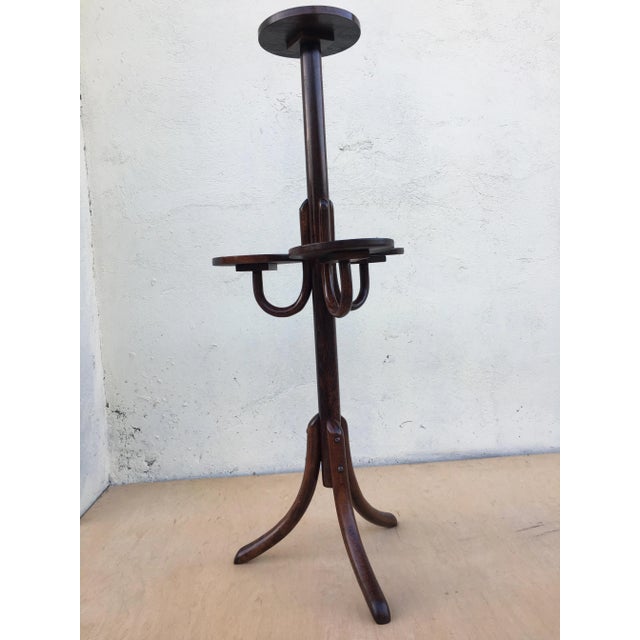 Bentwood Flower Bed from Thonet, 1940s For Sale - Image 6 of 18