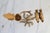 Metal Vintage Brass "Love Birds" Taper Candle Holder For Sale - Image 7 of 10