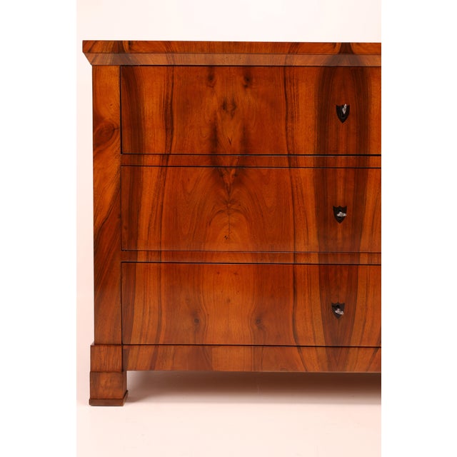 Biedermeier Chest of Drawers in Walnut, 1830 For Sale - Image 11 of 16
