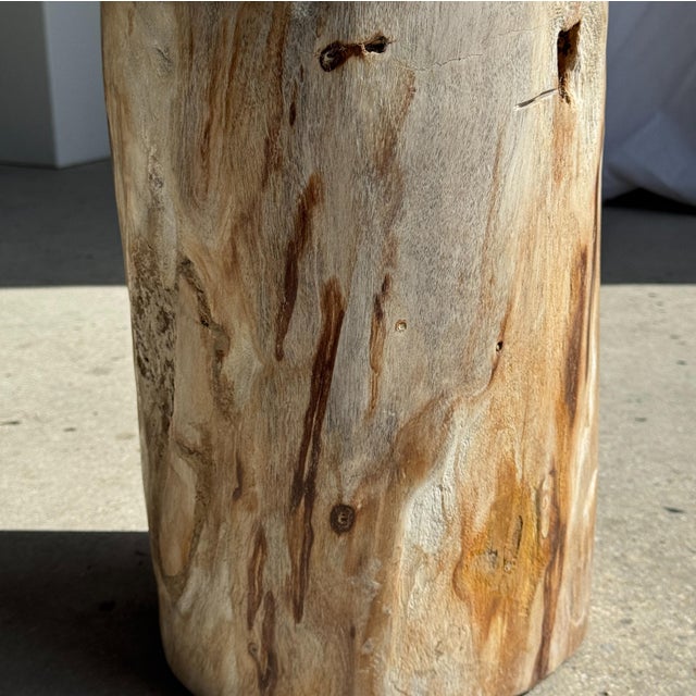 Stone Multicoloured Petrified Wood Side Table For Sale - Image 7 of 16