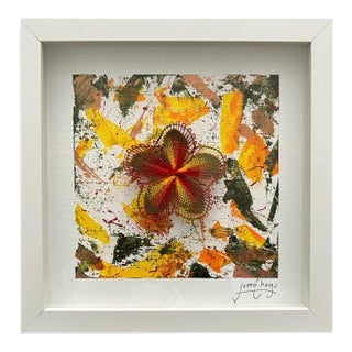 Guarani Bloom - Nanduti Series - Marcelo Chaparro, New York For Sale
