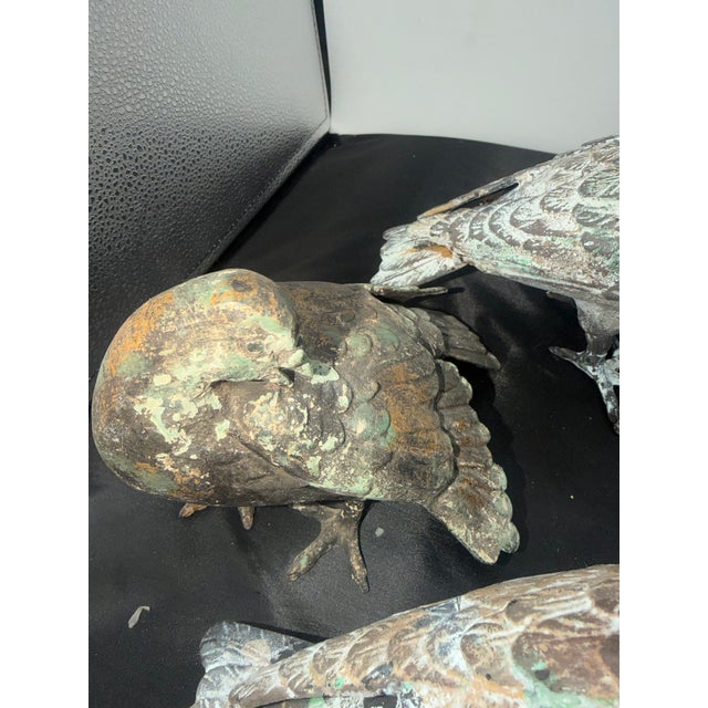 Metal Set of 5 Metal Pigeons in Heavy Metal Possibly Bronze For Sale - Image 7 of 13
