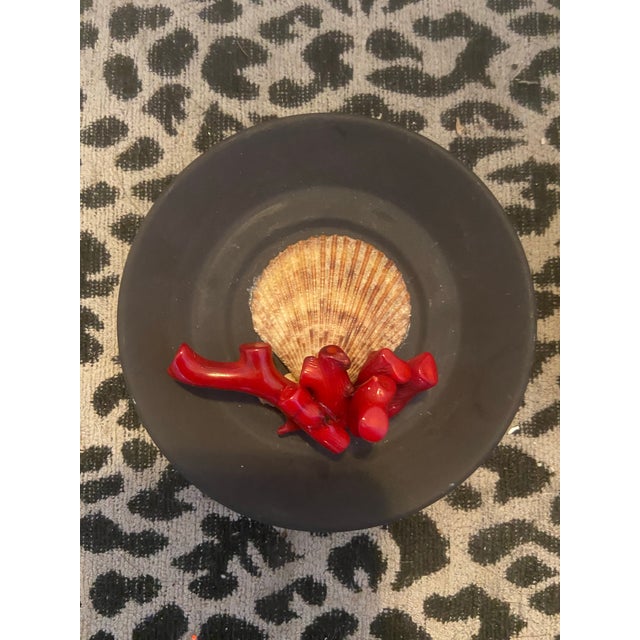 Stone Wedgwood Basalt Plates Encrusted in Shells - Pair For Sale - Image 7 of 9