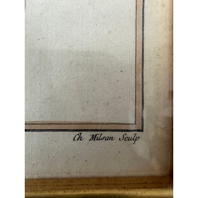 Paper 18th Century French Hand-Colored Botanical Fruit Engravings – Almond & Plum – Framed Pai For Sale - Image 7 of 9